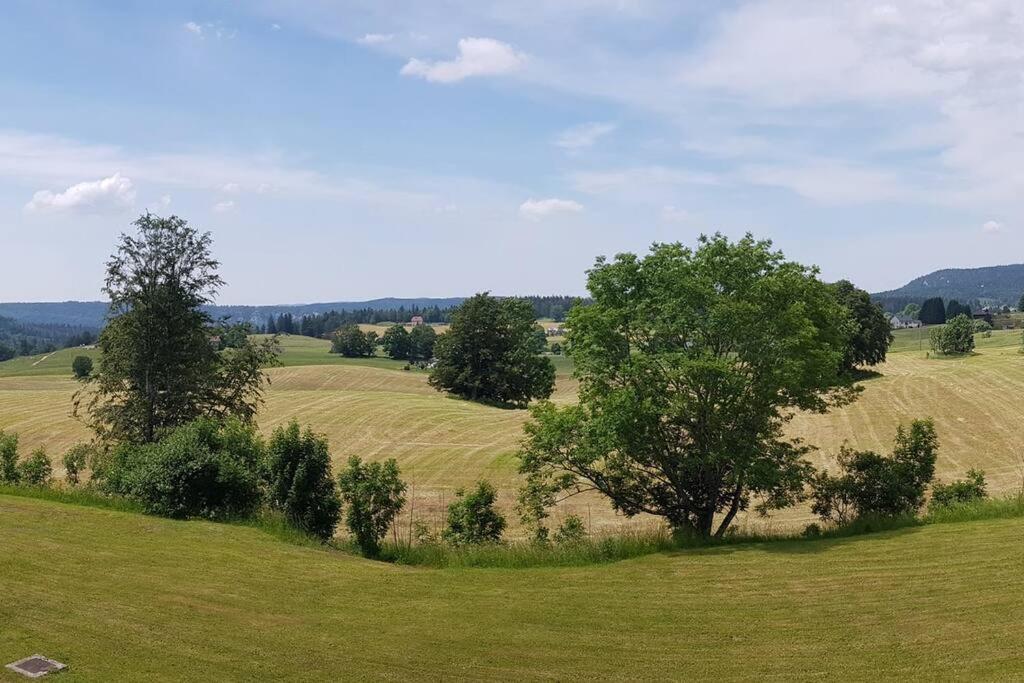 Appartement Les Rousses, Jura Esterno foto